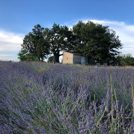 Cabanon Du Berger Villa Saignon Exterior photo